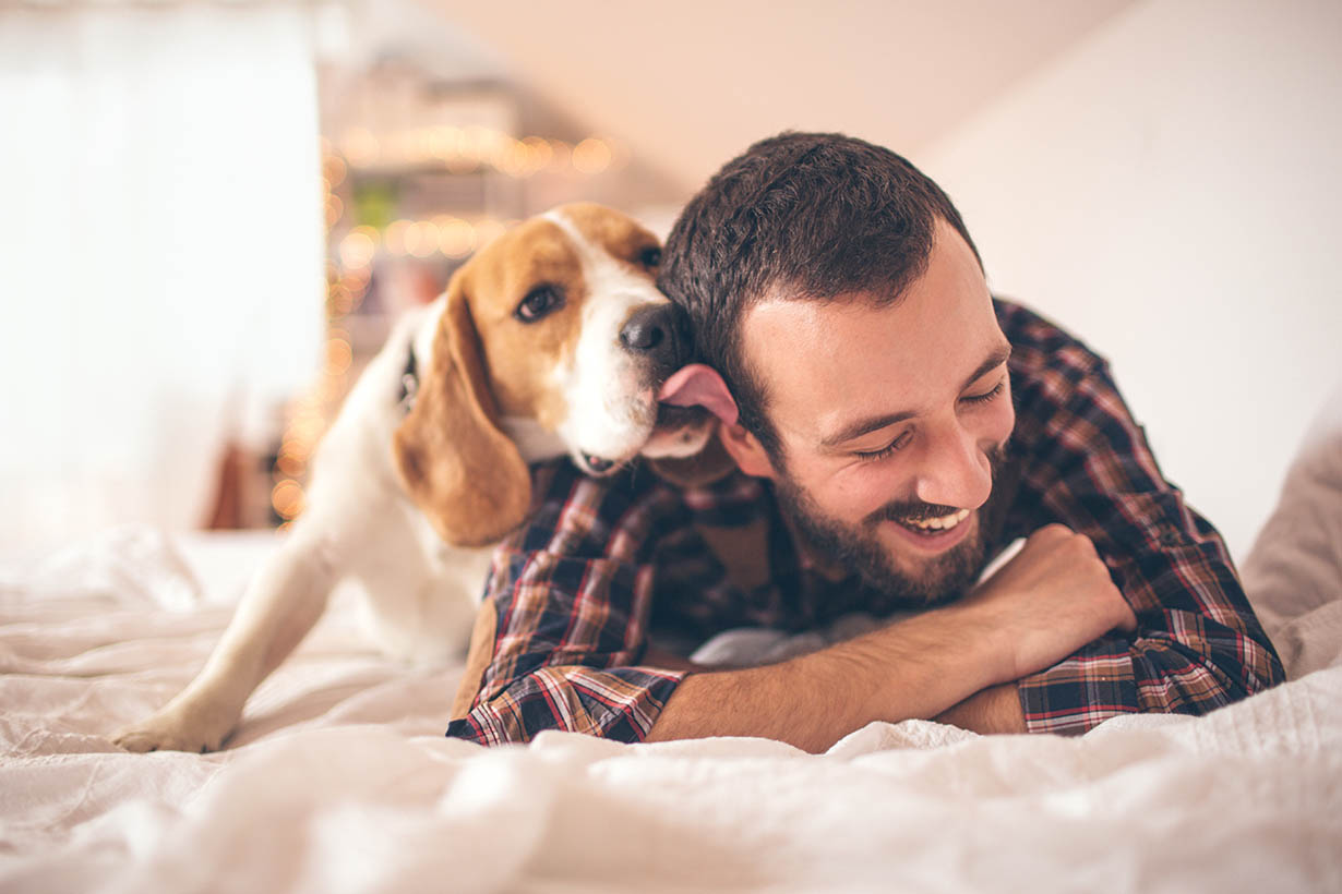 man playing with his dog in bed